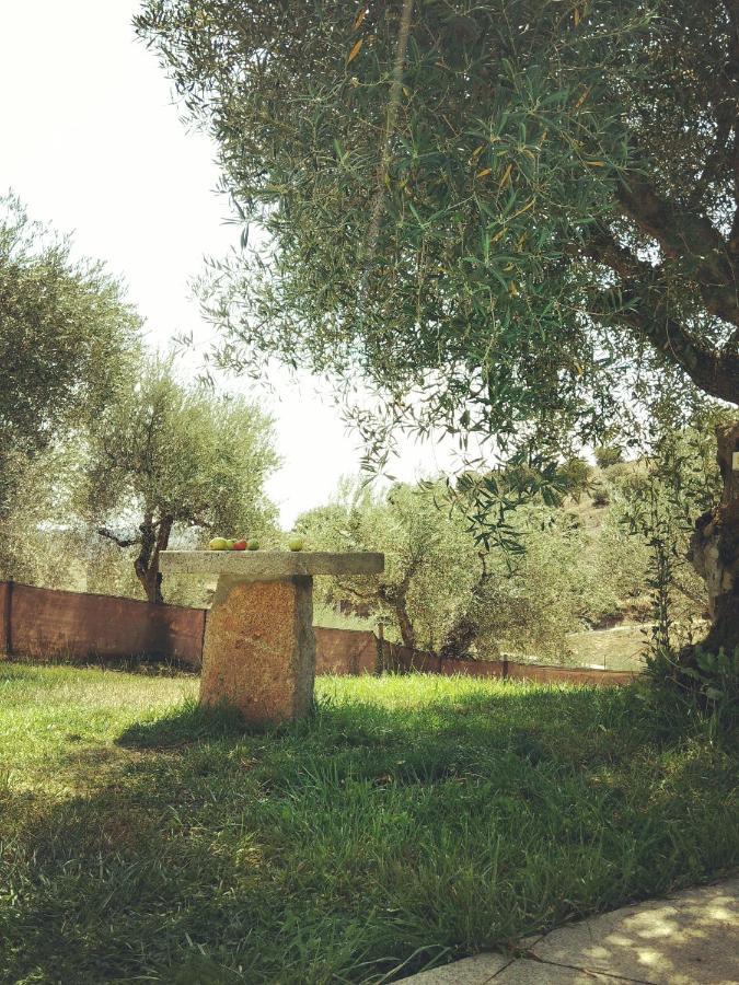 הוילה Vimioso Casa De Pimenteis מראה חיצוני תמונה