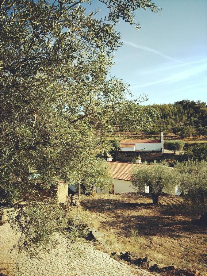 הוילה Vimioso Casa De Pimenteis מראה חיצוני תמונה