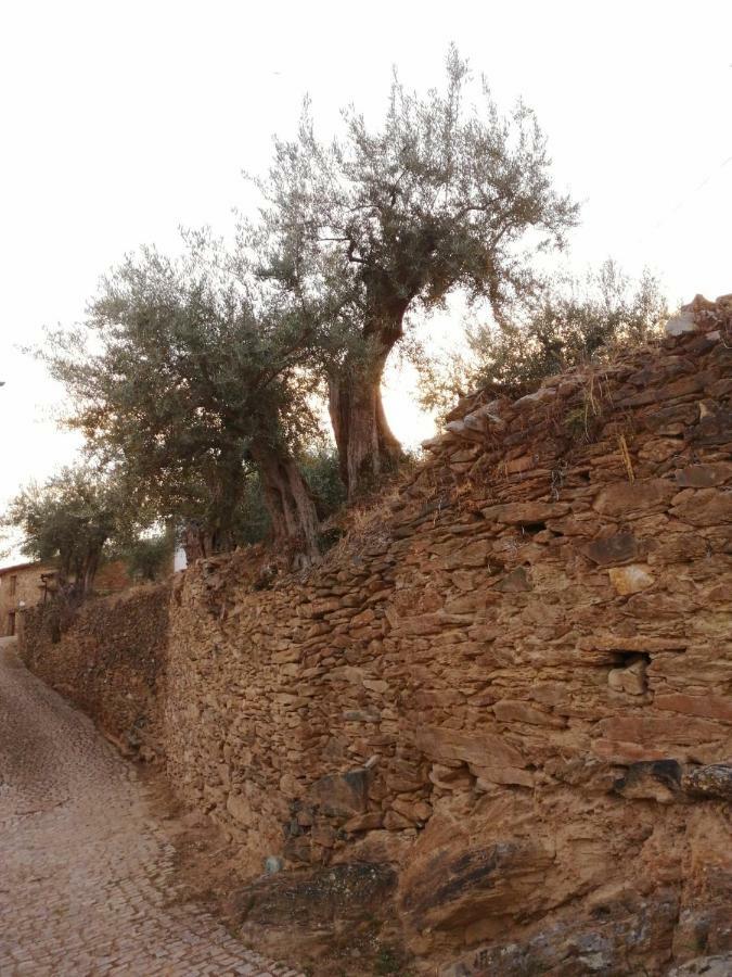 הוילה Vimioso Casa De Pimenteis מראה חיצוני תמונה